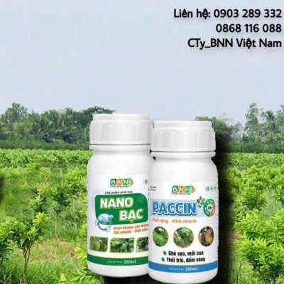 Chế phẩm sinh học 16