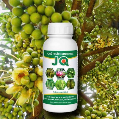 Chế phẩm sinh học 18