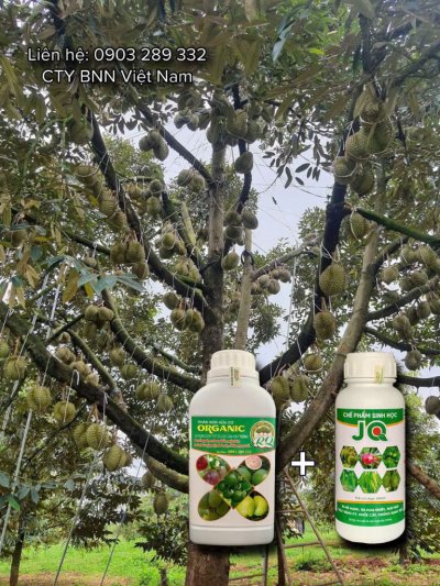 Chế phẩm sinh học 03