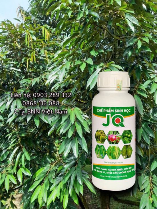 Hình ảnh cây trồng 3